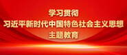 嗯嗯,操我逼视频学习贯彻习近平新时代中国特色社会主义思想主题教育_fororder_ad-371X160(2)